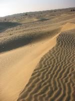IMG_0745