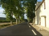 provence