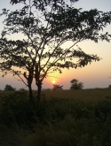 konkan